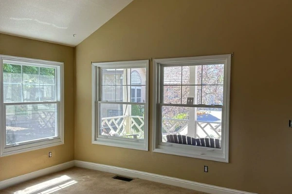 Professional house painting